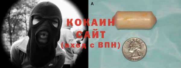 индика Карталы