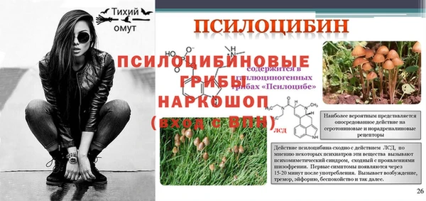 герыч Козельск