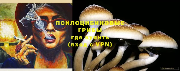 соль ск Карпинск