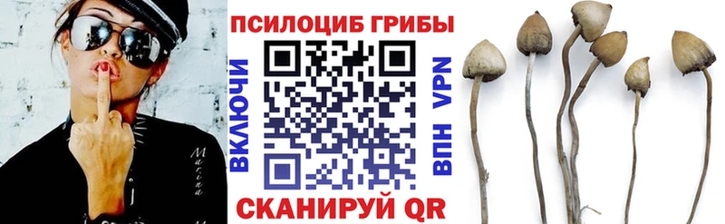 Псилоцибиновые грибы мицелий  сайты даркнета формула  Александровское 